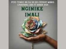 Dj 9.8 SA - Nginike imali (Pexi-Tonic SA Dj 9.8 SA, Ceekay Musiq, Cardinal X25 FT Nana Rsa)