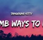 Dumb Ways to Die - Tangerine Kitty (TikTok Song)