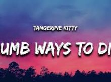 Dumb Ways to Die - Tangerine Kitty (TikTok Song)