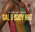 Elephant Man - Gal U Body Hot
