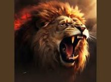 G-One Solly Makamu - Manyangatsi