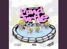 Govana, Dj Mac - Pond Turtle