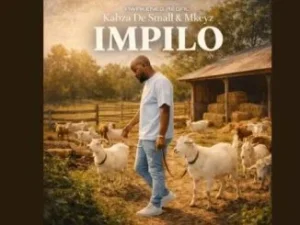 Kabza De Small & Mkeyz – Impilo