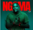 Lebza TheVillain – ShukuSha