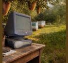 Mas Musiq - Abangani Bami