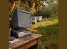 Mas Musiq - Abangani Bami