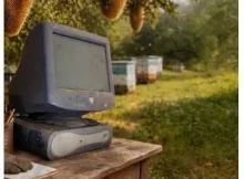 Mas Musiq & Aymos – Isegazini (feat. Thatohatsi & Sino Msolo)