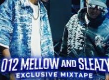 Mellow & Sleazy - 012 Sleazy b2b Slow (1f4our1)
