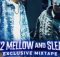 Mellow & Sleazy - 012 Sleazy b2b Slow (1f4our1)