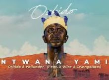 Mhlakazi - Ntwana Yam