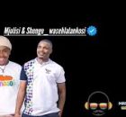 Mjolisi ft Shenge - Ubuhle obungaka ngyabuqala maskandi song