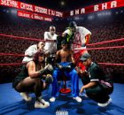 Seeyah, Ch’cco , Senzo02 & DJ Cozyy – Bha Bha (feat. Colkaze & Ashley Shane)