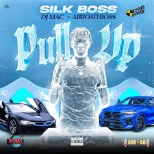 Silk Boss, Dj Mac - Pull Up
