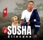 Sosha elincane – Van Dam