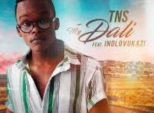 TNS ft. iNdlovukazi - My Dali | Amani Da Dawn Remix