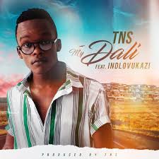 TNS ft. iNdlovukazi - My Dali | Amani Da Dawn Remix