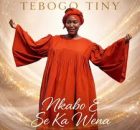 Tebogo Tiny – Nkabo E Se Ka Wena
