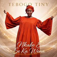 Tebogo Tiny – Nkabo E Se Ka Wena