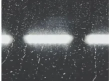 TimAdeep – You Know