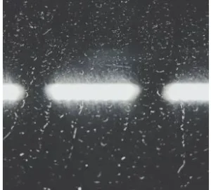 TimAdeep – You Know