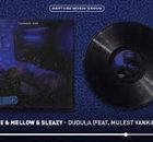 Twinnie Gee, Mellow & Sleazy - Dudula (ft. Mulest Vankay & LoonyQ)
