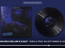 Twinnie Gee, Mellow & Sleazy - Dudula (ft. Mulest Vankay & LoonyQ)