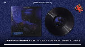 Twinnie Gee, Mellow & Sleazy - Dudula (ft. Mulest Vankay & LoonyQ)
