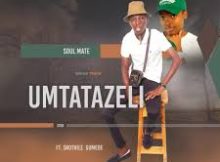 Umtatazeli – Soulmate (feat. Sinothile Gumede)