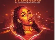 V.Soul & QubiqueSmall – Thando