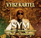 Vybz Kartel, Dj Mac, Crashdummy - SYM 