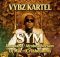 Vybz Kartel, Dj Mac, Crashdummy - SYM 