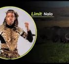 Ama Buffalo - Nama Elephant