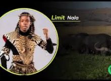 Ama Buffalo - Nama Elephant