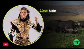 Ama Buffalo - Nama Elephant