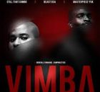 Beast RSA, Masterpiece YVK & Still That Combo – Vimba ft. General C’Mamane & Campmasters