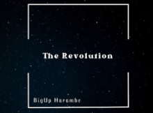 BigUp Harambe – Danger