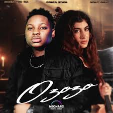 Caltonic SA, Soma Ziwa & Volt RSA – Ozozo