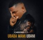 Cardinal X25 - Ubaba Wami Ubani