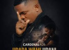 Cardinal X25 - Ubaba Wami Ubani