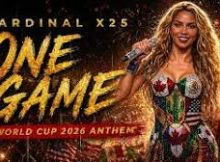 Cardinal X25 – One Game