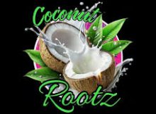 Coconut Rootz – Biggest Blessing