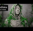 Credo V Daniels Sedilaka