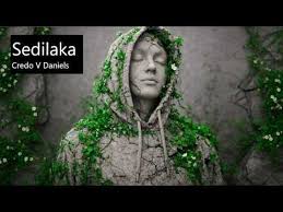 Credo V Daniels Sedilaka