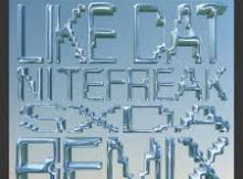 DANIDANE, MAAURA - LIKE DAT (NITEFREAK & SXDA REMIX)