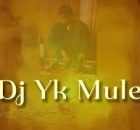 Dj Yk Mule - Mule Dance