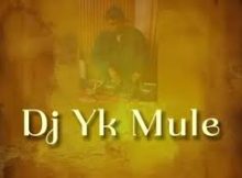 Dj Yk Mule - Mule Dance