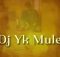 Dj Yk Mule - Mule Dance
