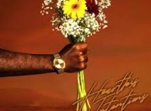 Jayy Scott, Audio Djz, Candy Da Baddie & Djy Mow SA – Heartless Intentions (feat. Lowly)