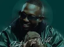 ALBUM: Jazzwrld – Secrets of the Wrld