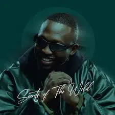 ALBUM: Jazzwrld – Secrets of the Wrld